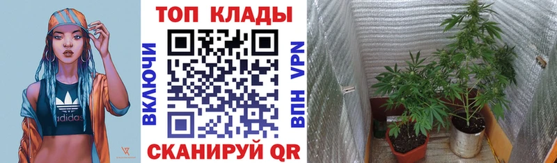 Купить наркотик аптеки Райчихинск А ПВП Конопля