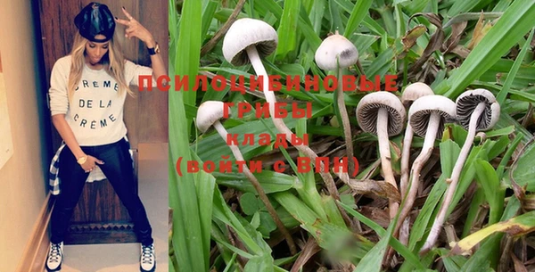 МДПВ Няндома