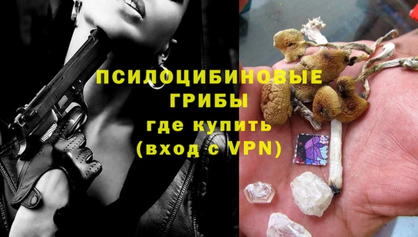 МДПВ Няндома