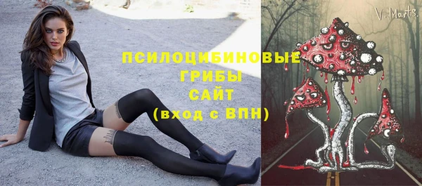 МДПВ Няндома
