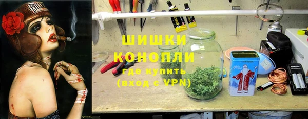 Альфа ПВП Новозыбков